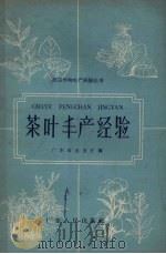茶叶丰产经验（1959 PDF版）