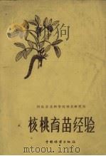 核桃育苗经验（1960 PDF版）
