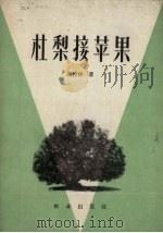 杜梨接苹果（1959 PDF版）
