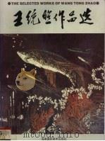 王统照作品选  木刻集（1996 PDF版）