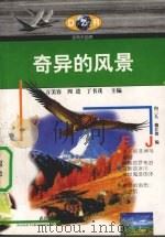 奇异的风景（1999 PDF版）