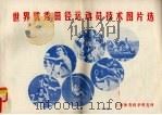 世界优秀田径运动员技术图片选（ PDF版）