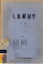 人体解剖学  下（1979 PDF版）