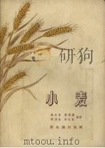 小麦（1956 PDF版）