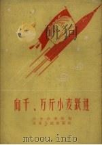 向千、万斤小麦跃进（1958 PDF版）
