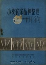 小麦农家品种整理 河北省南部地区 1959 PDF电子版封面 河北省石家庄专区衡水农业科学研究所著