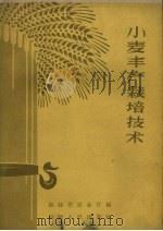小麦丰产栽培技术（1958 PDF版）