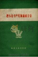 把小麦丰产红旗插遍全省（1958 PDF版）