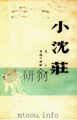 小沈庄 1950 PDF电子版封面 严辰撰