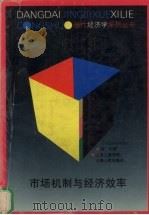市场机制与经济效率 1995 PDF电子版封面 7208019886 樊纲著