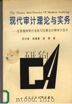 现代审计理论与实务 电算抽样审计系统与注册会计师审计技术 1995 PDF电子版封面 7562909784 张友棠等著