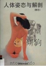 人体姿态与解剖  静态（1998 PDF版）
