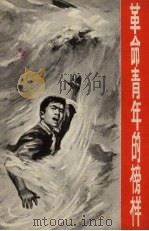 革命青年的榜样（1969 PDF版）