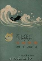 在激浪里  革命斗争故事（1959 PDF版）