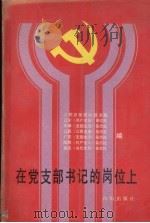 在党支部书记的岗位上 1991 PDF电子版封面 780566210X 人民日报国内政治部等编