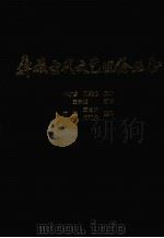 彝族古代文艺理论丛书 1990 PDF电子版封面 举奢哲,阿买妮原著;王子尧译
