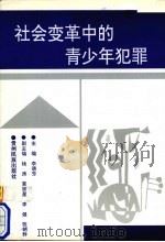 社会变革中的青少年犯罪（1997 PDF版）
