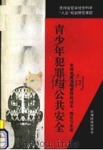 青少年犯罪与公共安全 贵州省青少年犯罪的过去、现在与未来 1997 PDF电子版封面 7541206113 史昭乐,彭德全主编;贵州省青少年犯罪预测及对策研究课题组编