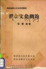 群众文化概论 1990 PDF电子版封面 孙潮编著