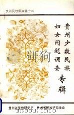 贵州少数民族妇女问题 贵州民族调查卷 12 PDF电子版封面 贵州省民族研究所,贵州省民族研究学会编