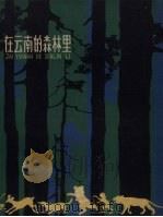 在云南的森林里（1960 PDF版）