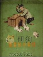 重要的小事情 1954 PDF电子版封面 贺宜著;沈华绘图