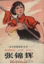 张锦辉 1966 PDF电子版封面 吴翕斌著