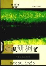 凝望 1999 PDF电子版封面 7800994031 野谷著