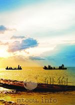 欧盟REACH法规实施指南丛书.第六卷，（ PDF版）