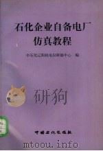 石化企业自备电厂仿真教程 1998 PDF电子版封面 7800437418 中石化辽阳机电仪研修中心编