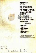 乌拉圭回合关税减让结果 中国与主要贸易国关税率 下 1995 PDF电子版封面 7010022747 中华人民共和国海关总署关税司