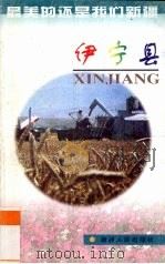 伊宁县 1999 PDF电子版封面 7228054350 陈建华主编