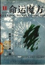 命运魔方（1994 PDF版）
