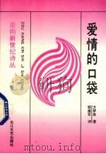 爱情的口袋（1994 PDF版）