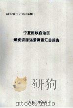 宁夏回族自治区煤炭资源远景调查汇总报告 1995 PDF电子版封面