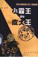 小霸王与皮大王 儿童剧集 1984 PDF电子版封面 R10024·4225 孙毅著