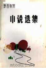 小说选集（ PDF版）