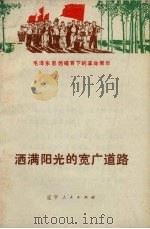 洒满阳光的宽广道路（1972 PDF版）