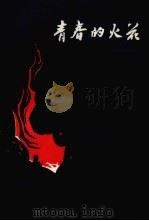 青春的火花  浙江革命斗争史（1979 PDF版）