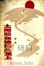 太阳照在她的头顶上 诗集 1986 PDF电子版封面 胡拓著