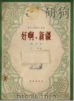 好啊:新疆 随想曲 笛子与钢琴二重奏 1963 PDF电子版封面 8026.1939 王树作曲