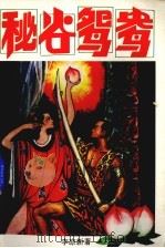 秘谷鸳鸯  上（1994 PDF版）