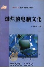 灿烂的电脑文化（ PDF版）