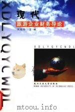 现代旅游企业财务导论   1999  PDF电子版封面  7562915288  黄晓清主编 