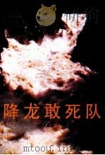 降龙敢死队  第2版（1999 PDF版）