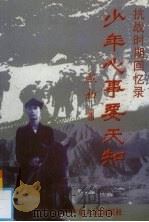 少年心事要天知 1999 PDF电子版封面 7218031455 欧初著