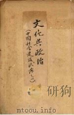 文化与政治 1929 PDF电子版封面 许仕廉著