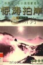 惊涛拍岸  商海之页（1996 PDF版）