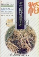浙江稻种资源图志   1993  PDF电子版封面  7534106281  张丽华，应存山主编 