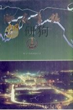 西安年鉴  1996  总第4卷（1996 PDF版）